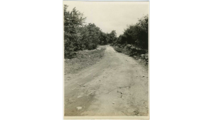 Road into Harold Parker State Forest from the By Pass 2nd Stage 1933